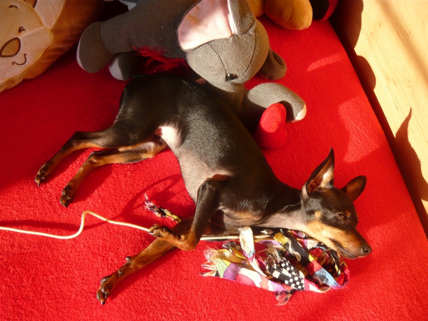 p1010704.jpg