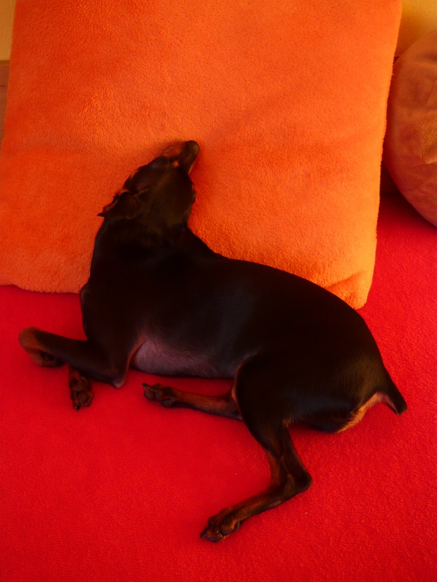 p1010755.jpg