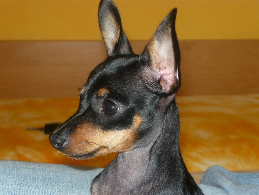 p1010034.jpg