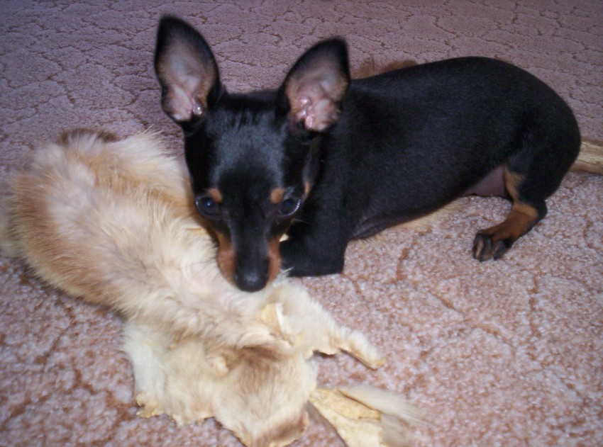 100_1800.jpg