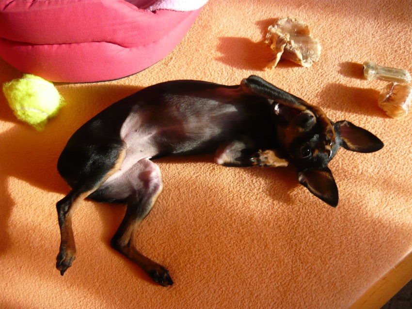 p1010493.jpg